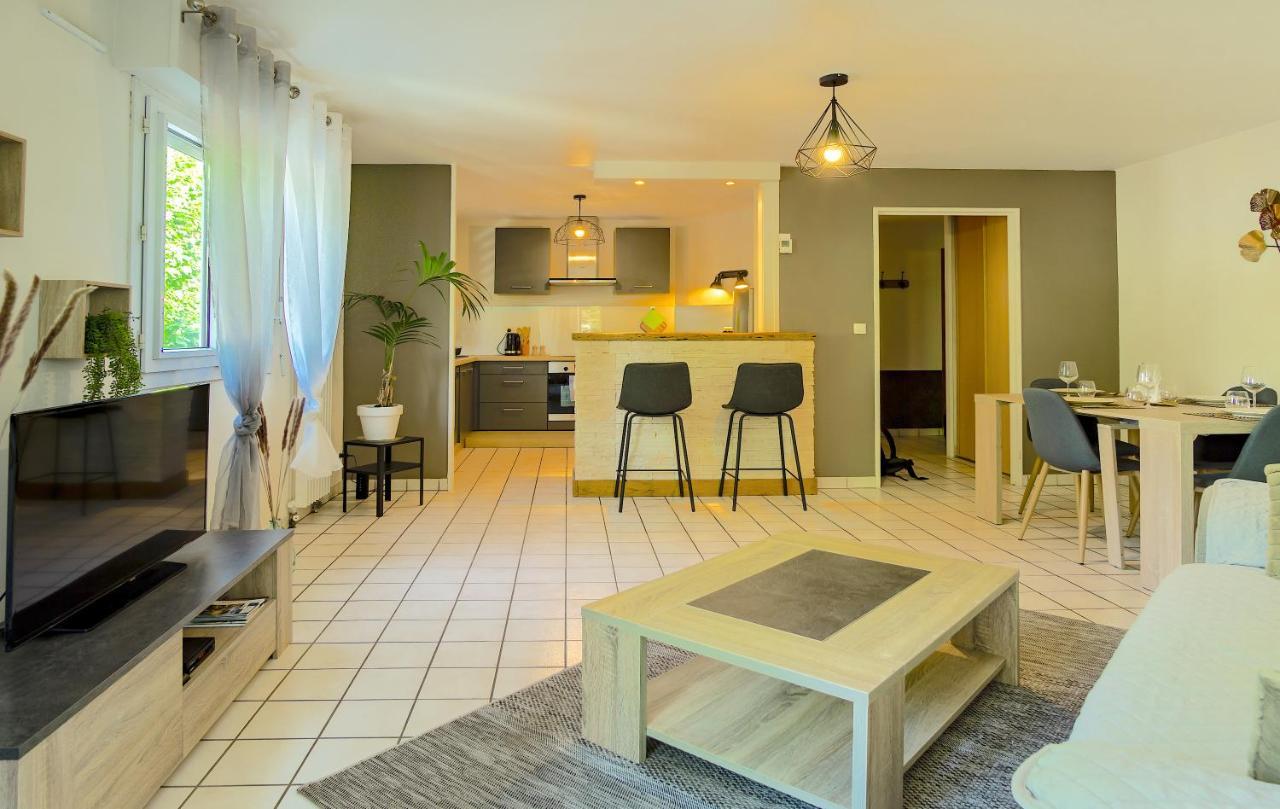 100 Geneve Joli T2 Avec Place De Parking Privee Annecy Ngoại thất bức ảnh